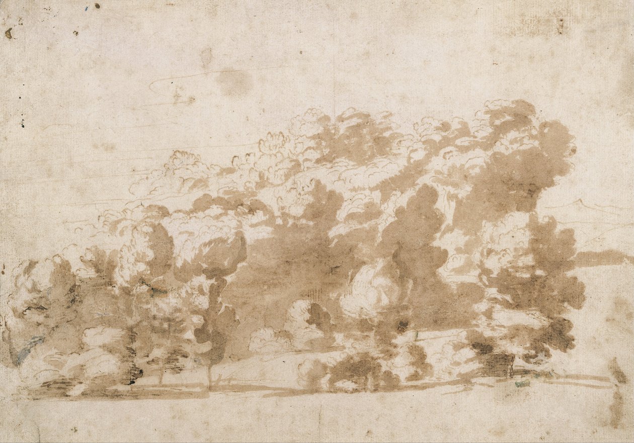 Ormanlık bir sırt by Anthony van Dyck