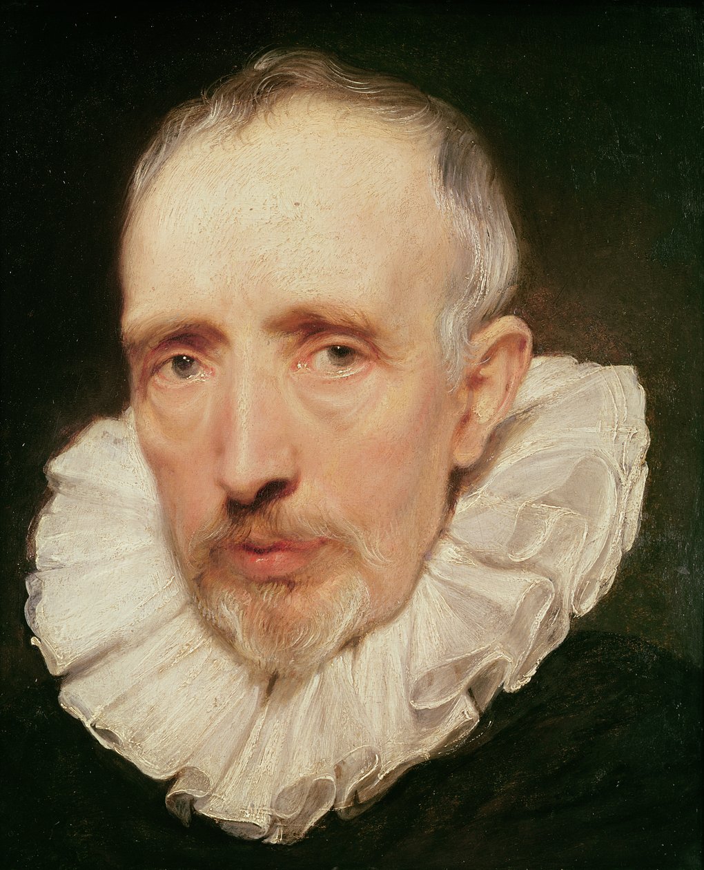 Cornelis van der Geest
