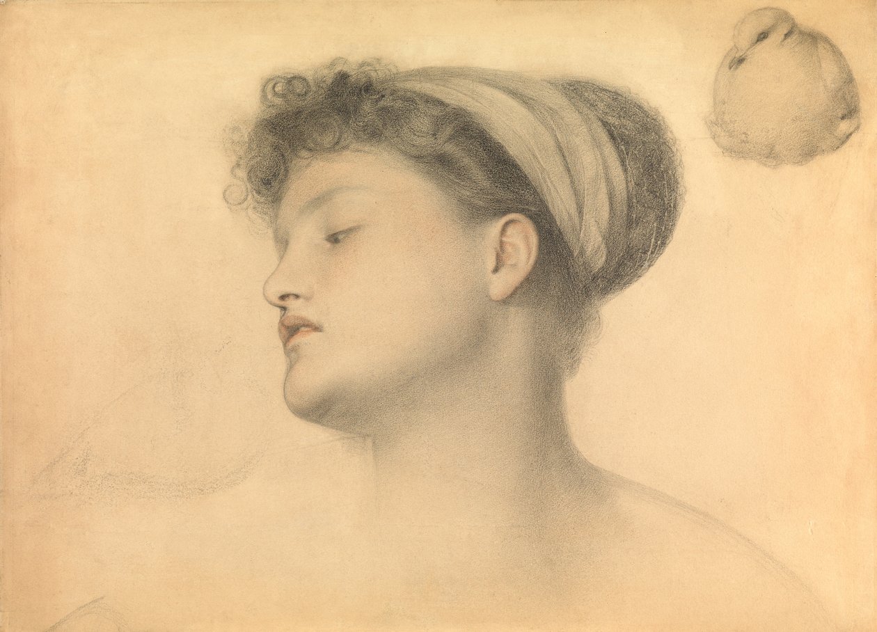 Güvercinli Kız Çalışması (kağıt üzerine kurşun kalem ve renkli tebeşirler) by Anthony Frederick Augustus Sandys