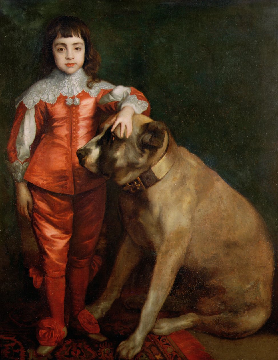 Mastiff olan bir çocuk olarak Charles II