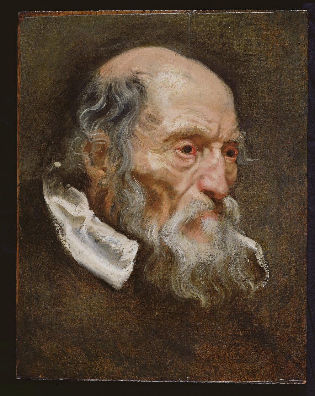 Yaşlı bir adamın portresi by Anthony van Dyck