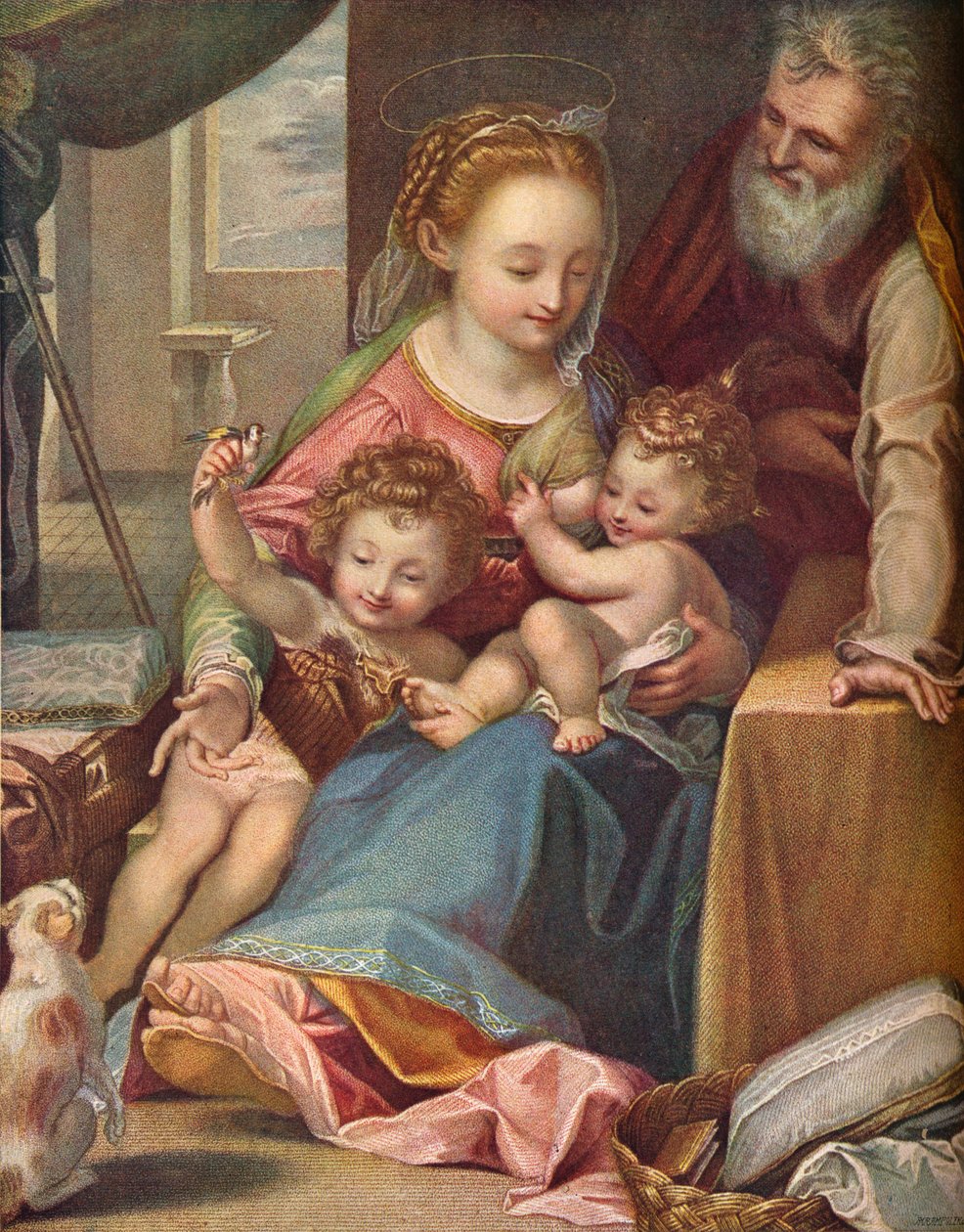 Kedi La Madonna del Gatto