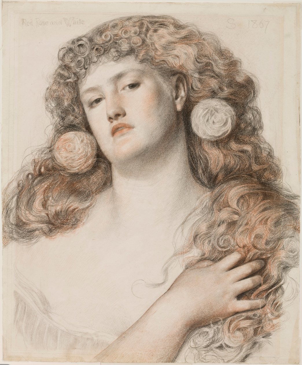 Kırmızı Gül ve Beyaz, 1867 (kağıt üzerine tebeşir) by Anthony Frederick Augustus Sandys