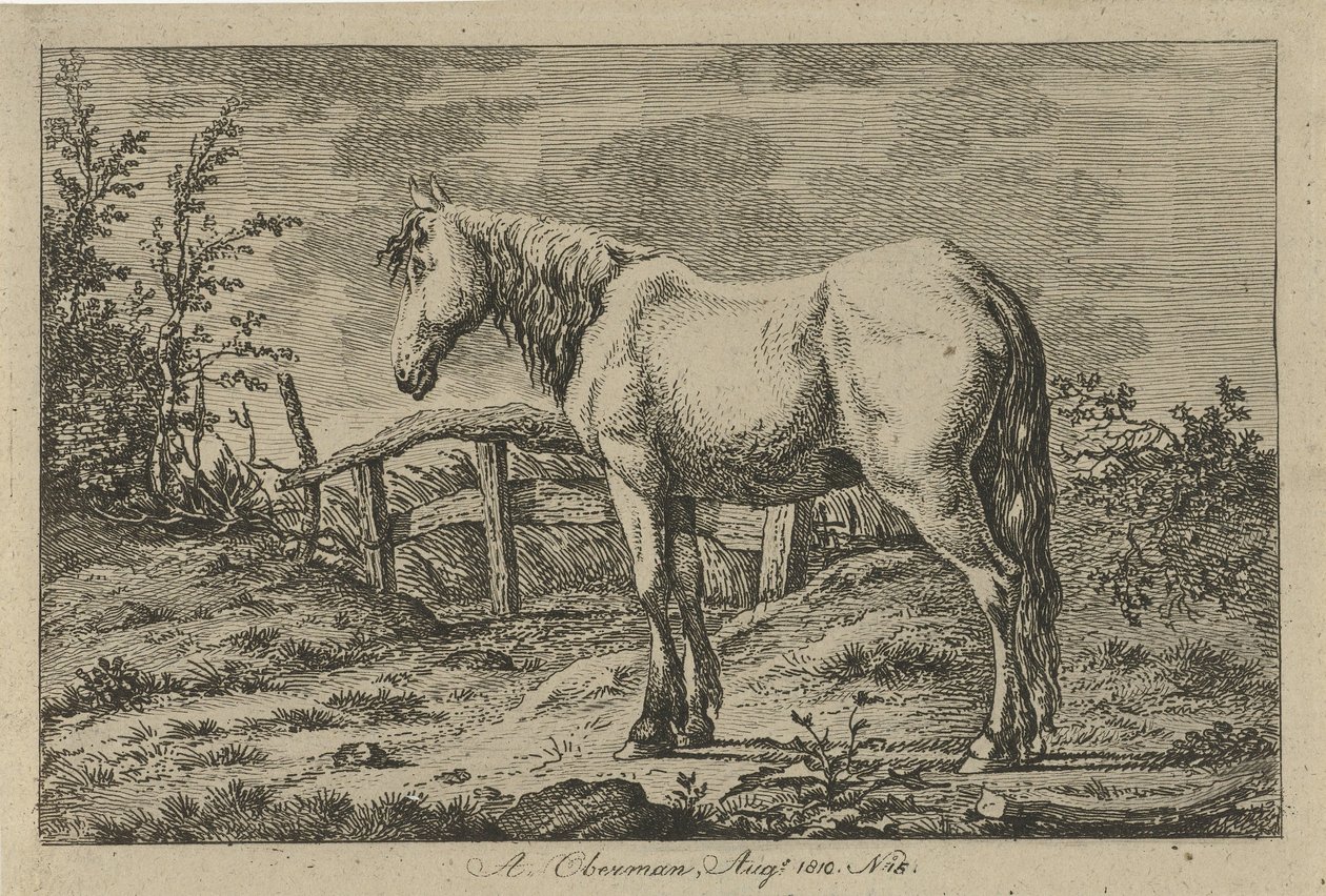 duran at İnek, Koyun ve Keçi Çalışmaları (dizi adı) by Anthony Oberman