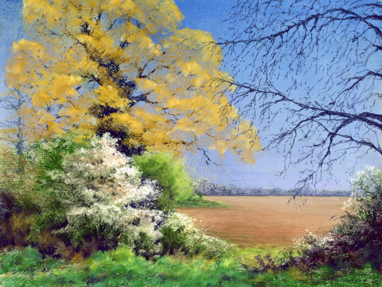 Karaçalı Kışı, 2003 by Anthony Rule