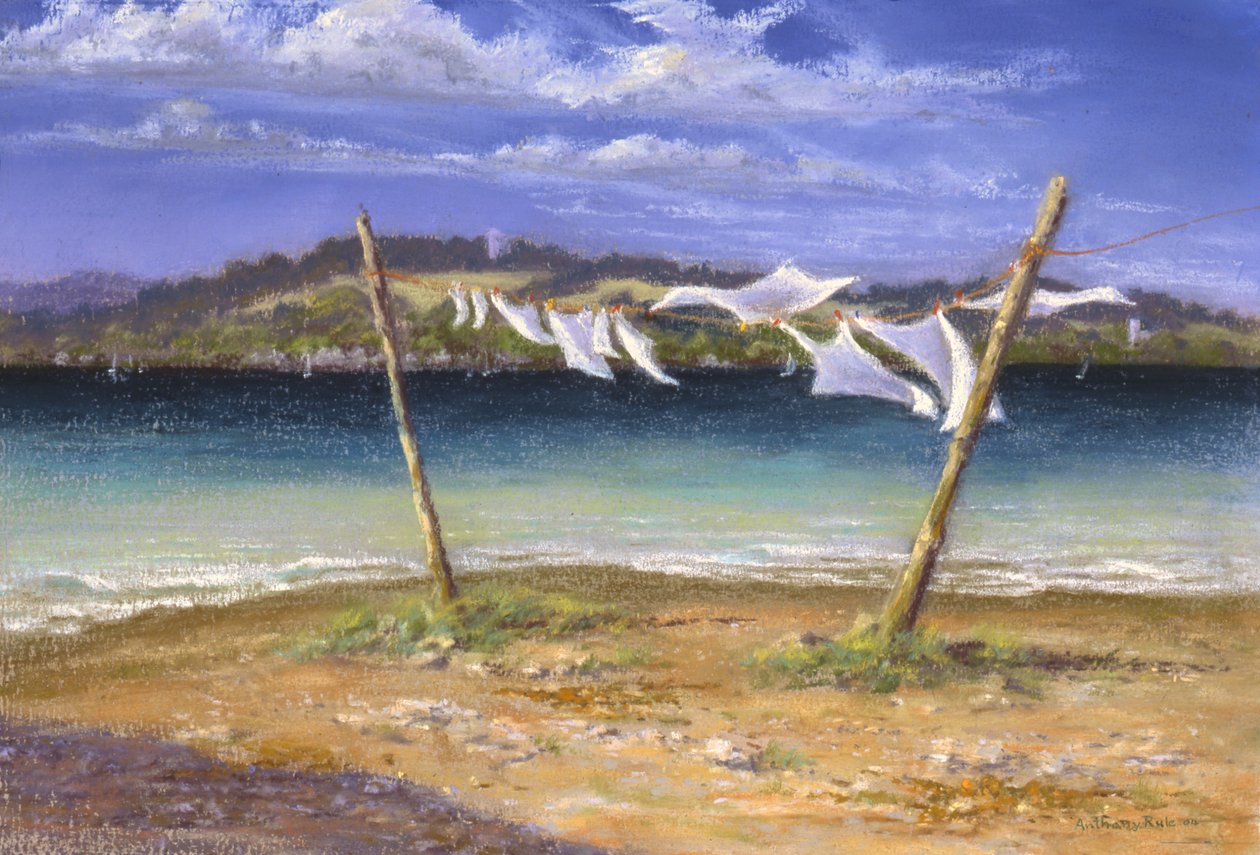 Beyazları Kurutmak, 2004 by Anthony Rule