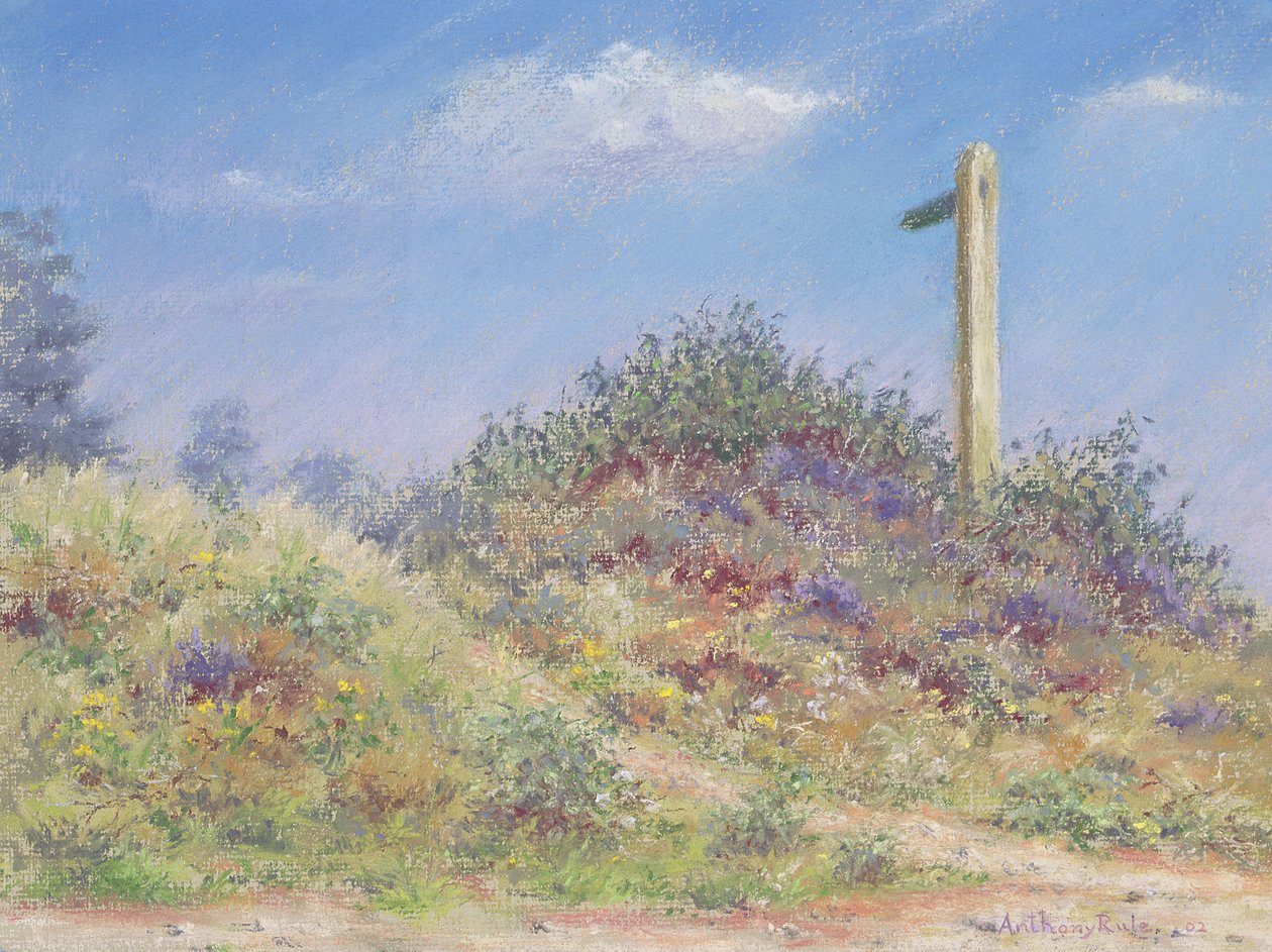 Halka Açık Patika, 2002 by Anthony Rule
