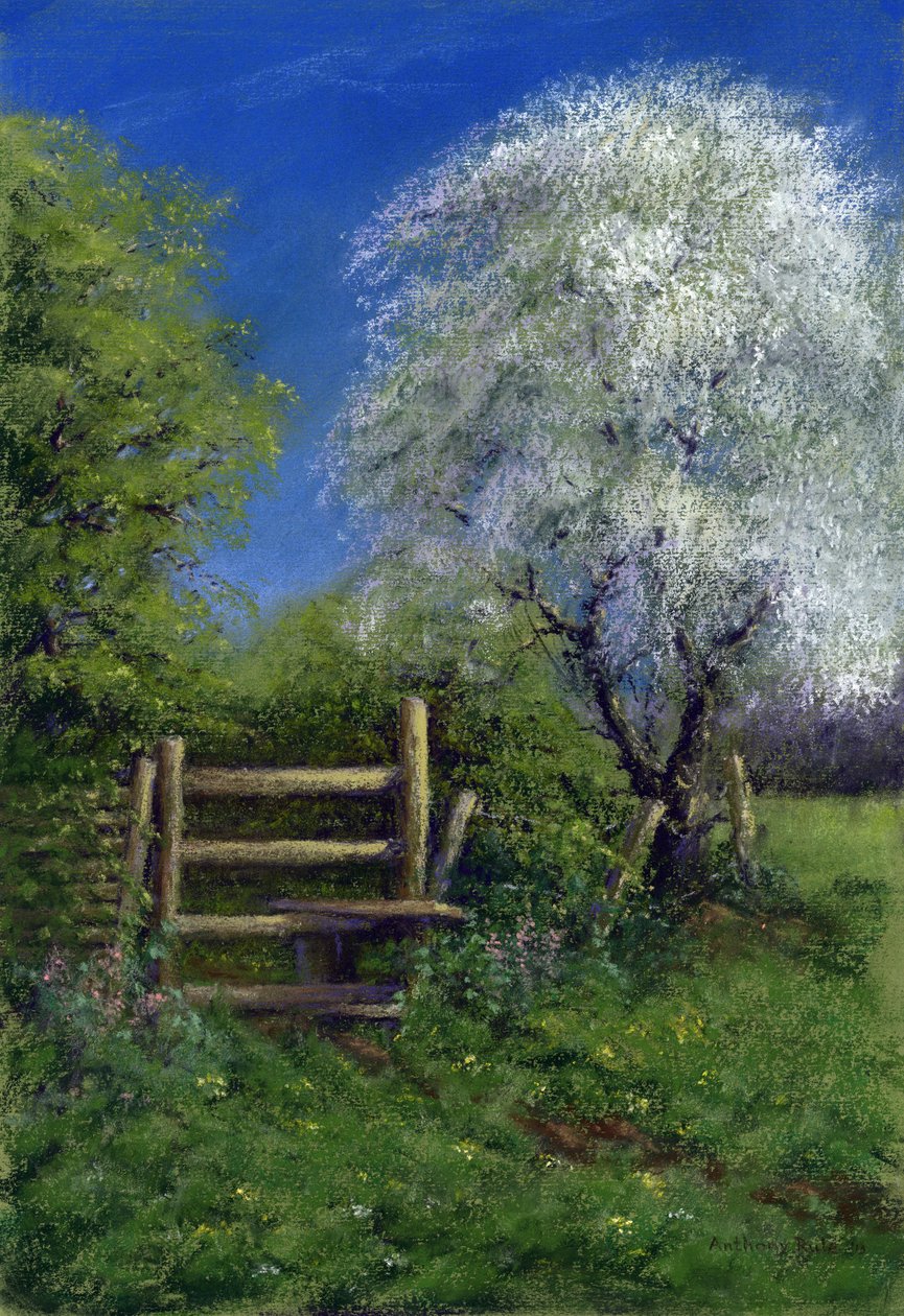 Baharda Stile, 2013 (kağıt üzerinde pastel) by Anthony Rule