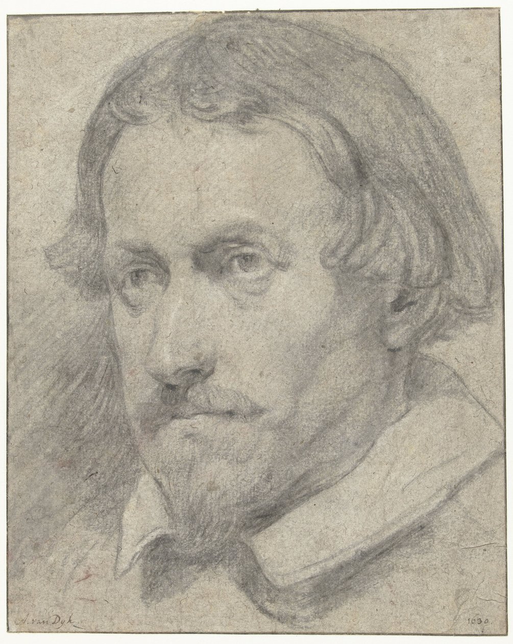 Manskop by Anthony van Dyck (possibly)