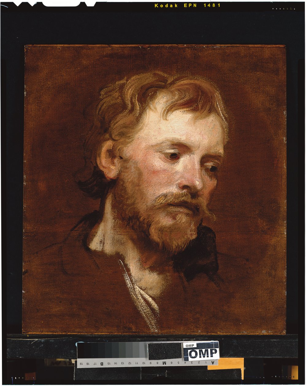 Sakallı bir adam, bir çalışma by Anthony van Dyck