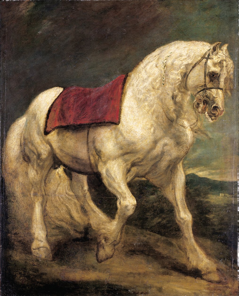 Bir eyer kumaşı ve kısmen örgülü yelesi olan dizginli gri bir aygır: bir modello by Anthony van Dyck