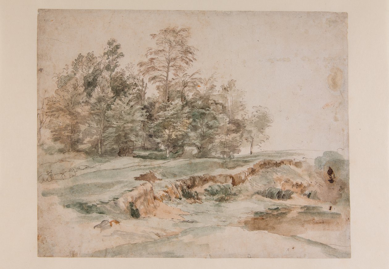 Ormanlık bir yolun yanında bir ağaç yığını (kağıt üzerine kurşun kalem ve sulu boya) by Anthony van Dyck