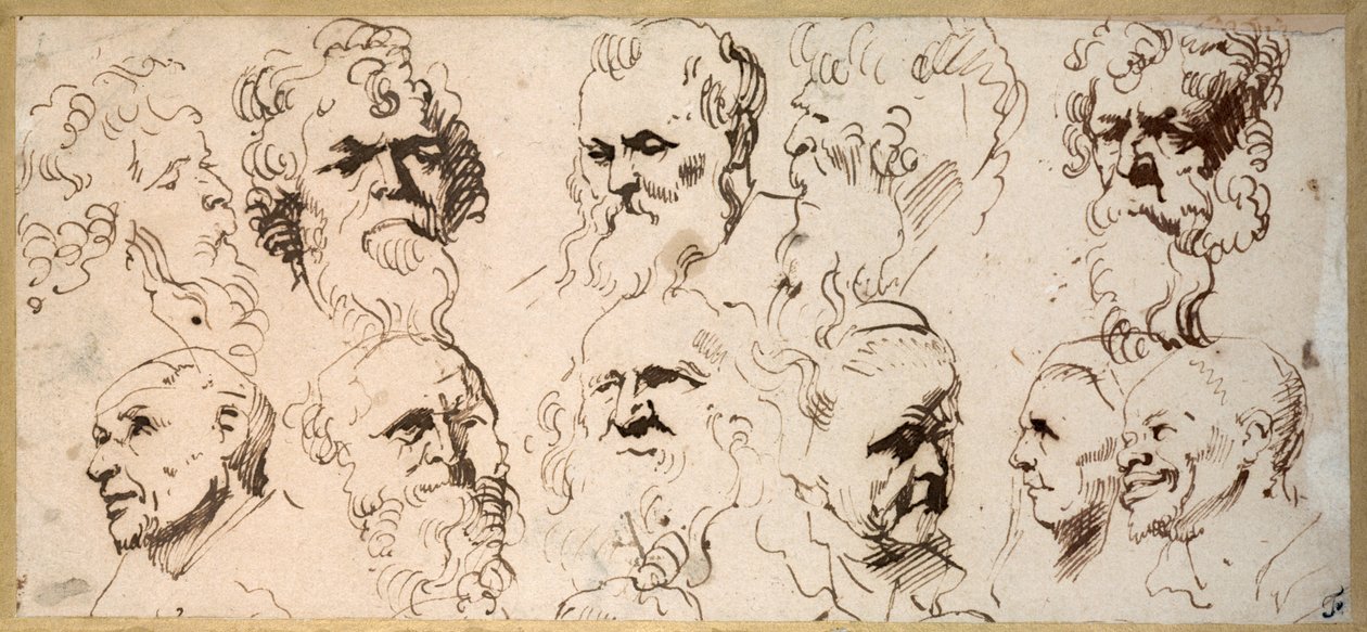 On bir kafa çalışması (kağıt üzerinde kalem ve kahverengi mürekkep) by Anthony van Dyck