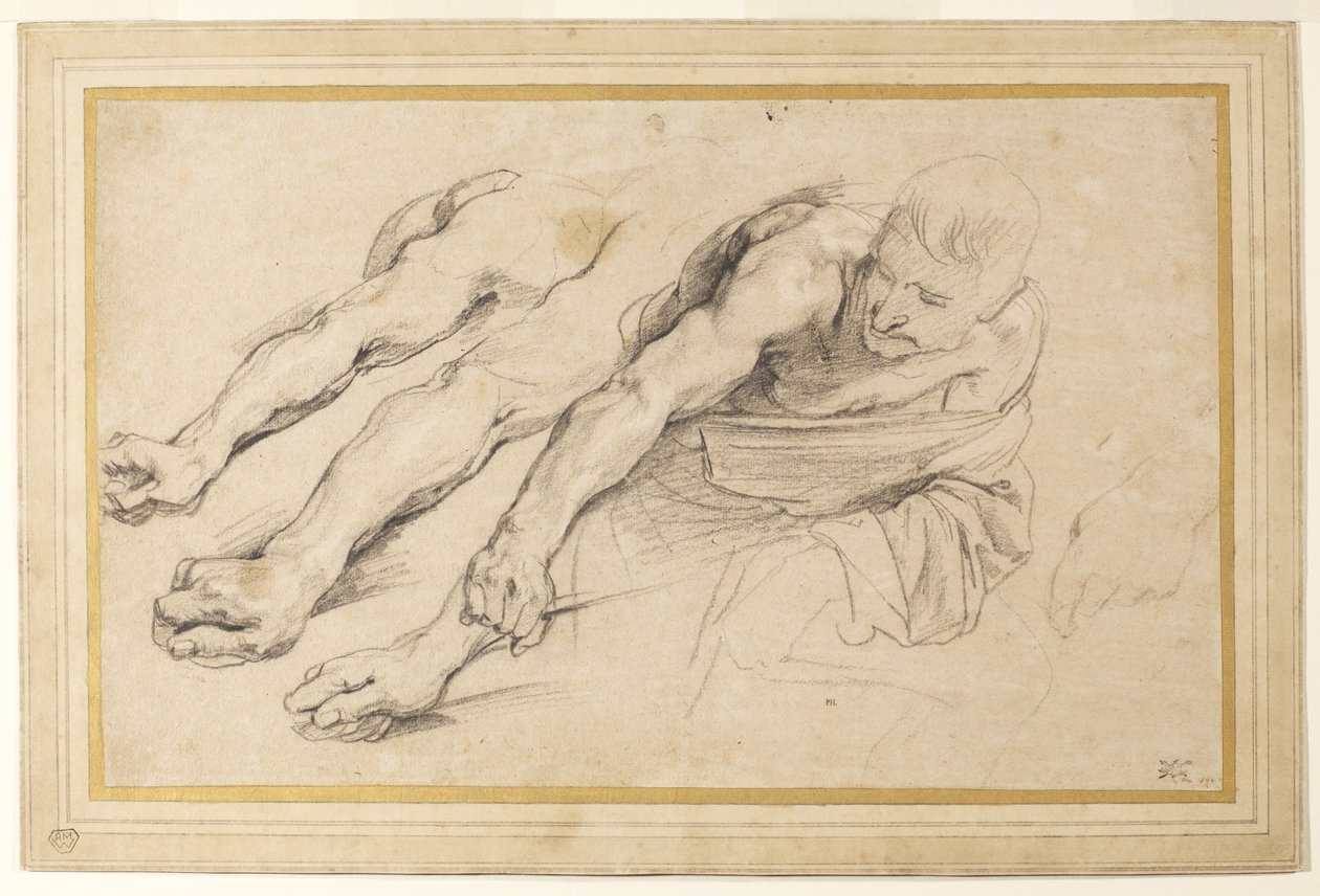 Sağ kolunu uzatmış öne doğru eğilmiş bir adam figürü; aynı figür için sağ kolun üç çalışması ve sol elden biri (kağıt üzerinde tebeşir) by Anthony van Dyck