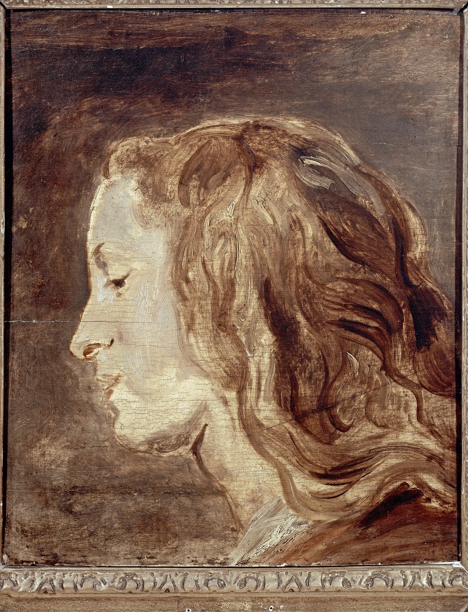 Head Study, 17. yüzyılın ilk yarısı (gemide petrol) by Anthony van Dyck