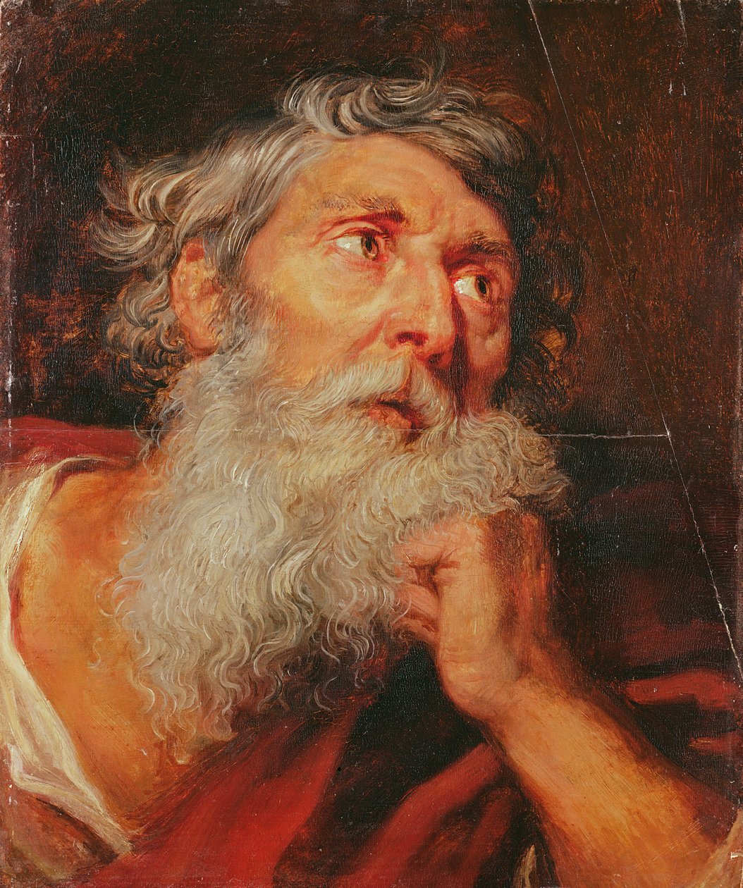 Bir Havarinin Başkanı by Anthony van Dyck