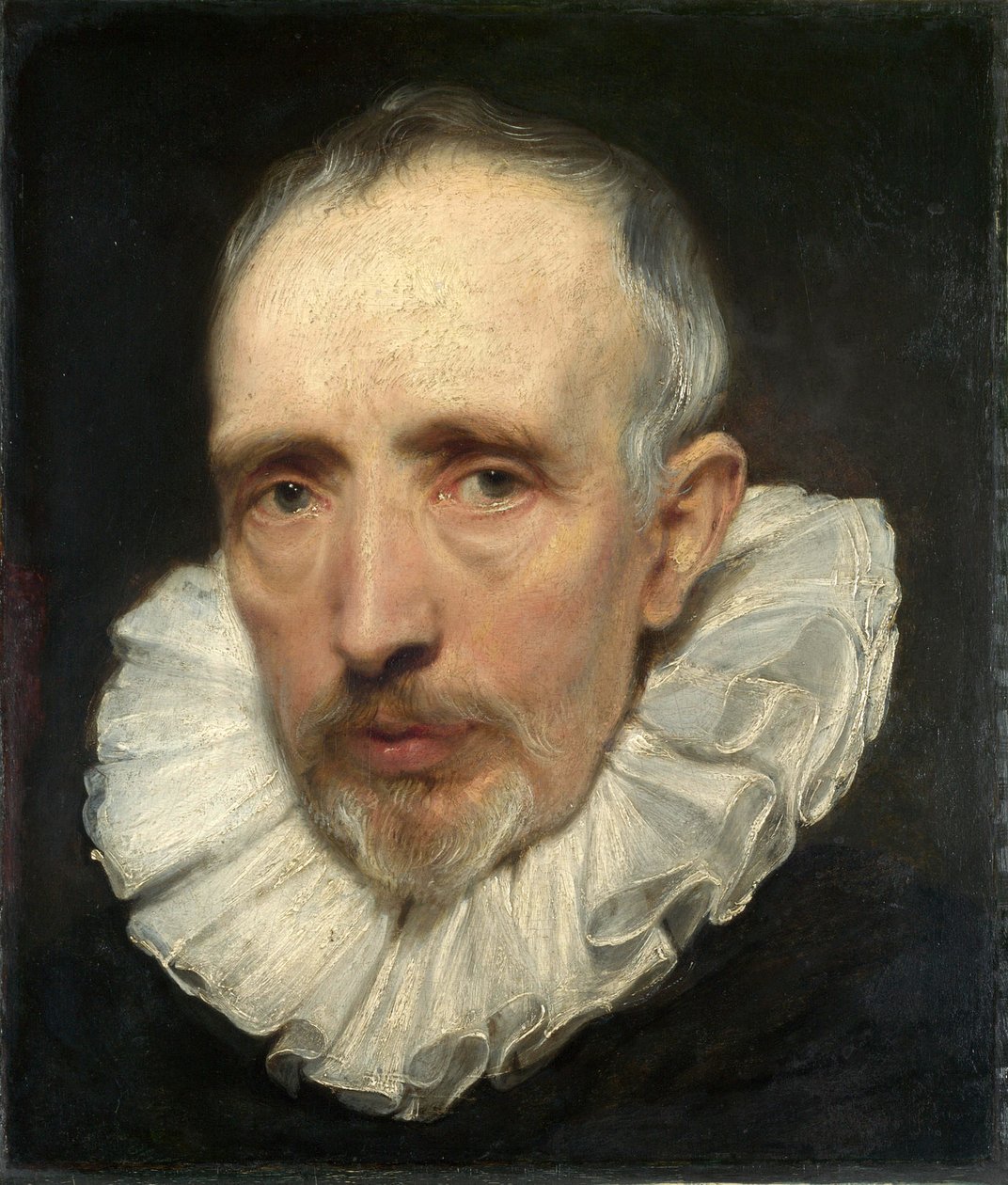  by Anthony van Dyck