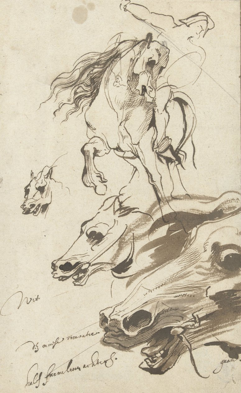 Study of Rider and head of a Horse, 1620-1 (pen and wc on paper) by Anthony van Dyck
