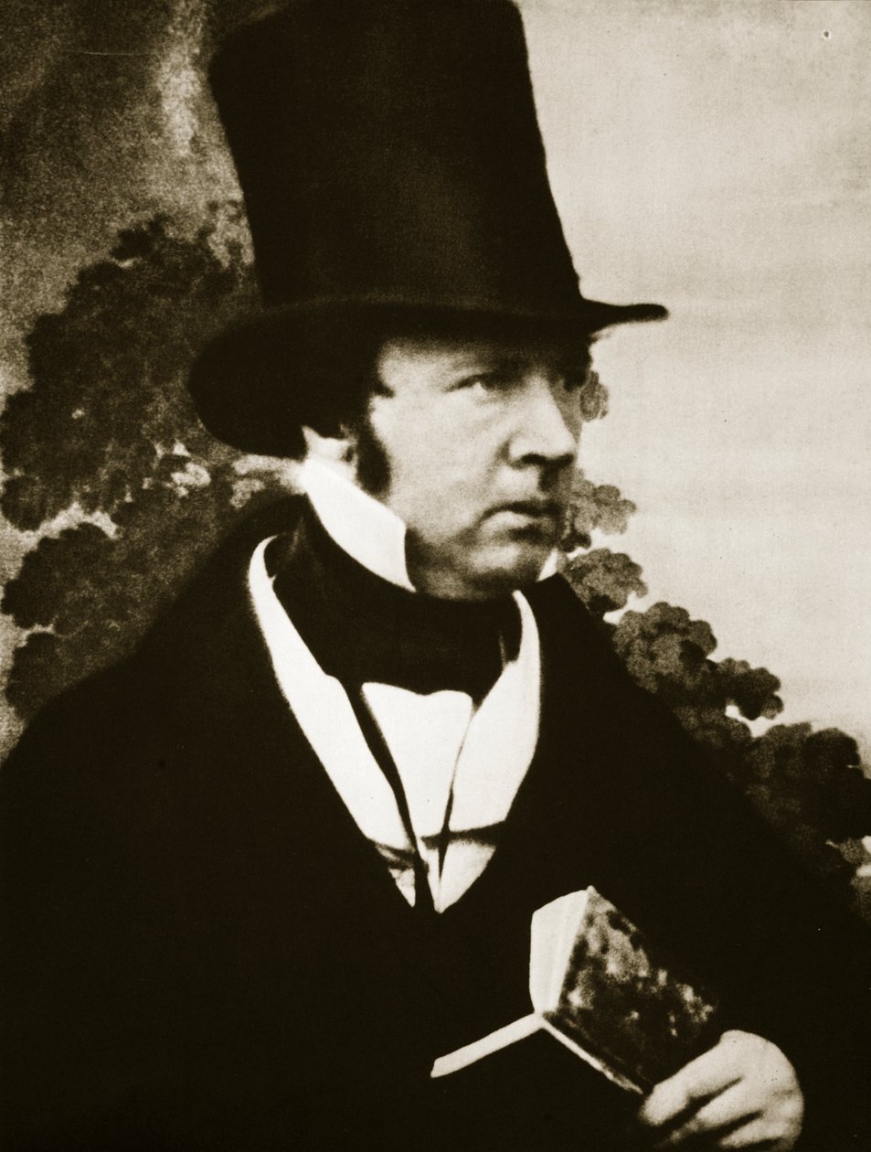ಫಾಕ್ಸ್ ಟಾಲ್ಬೋಟ್ (ಸೆಪಿಯಾ ಫೋಟೋ) ಟರ್ಕಿಯ ಭಾವಚಿತ್ರ by Antoine Francois Jean Claudet