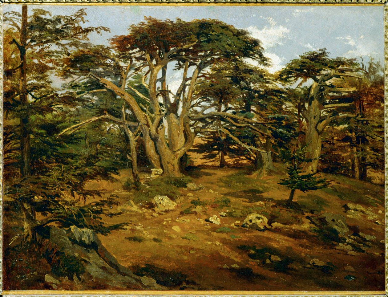  by Antoine Alphonse Montfort