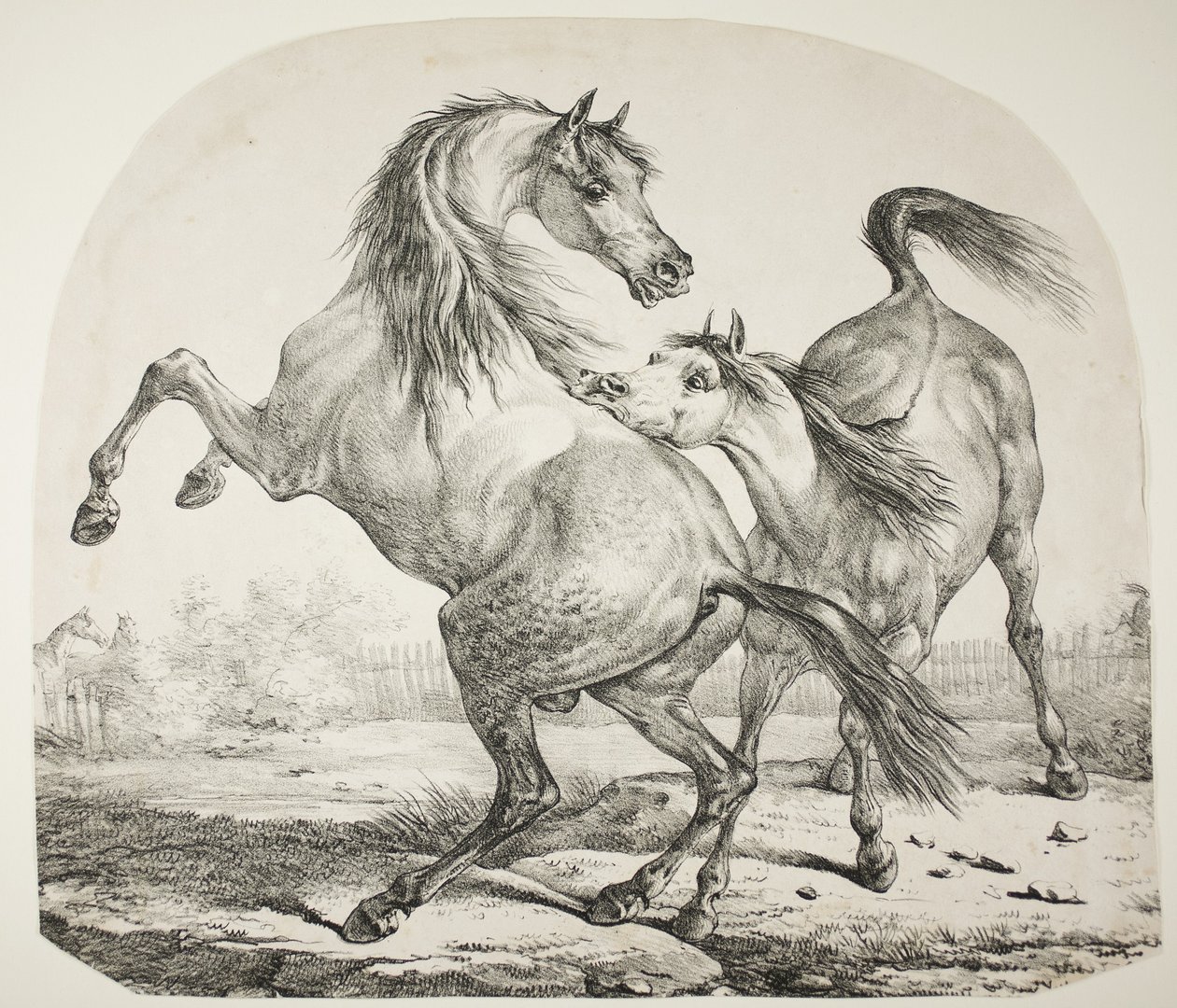 Vahşi Atlar Dövüşü, c.1820 by Antoine Charles Horace Vernet