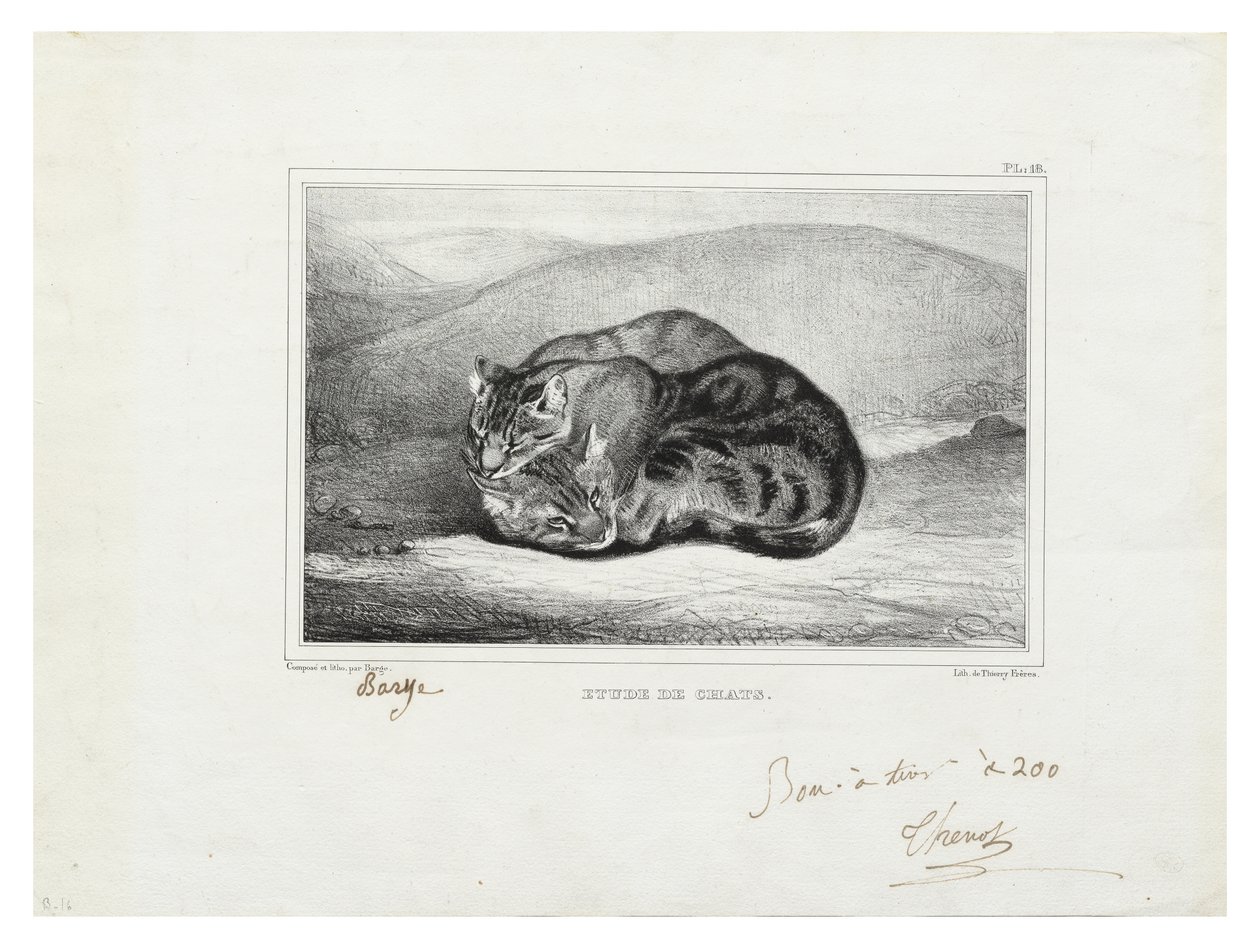 kedilerin incelenmesi by Antoine Louis Barye
