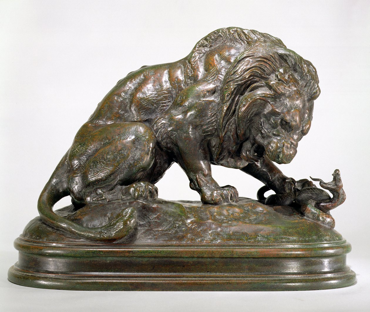 aslan ve yılan by Antoine Louis Barye