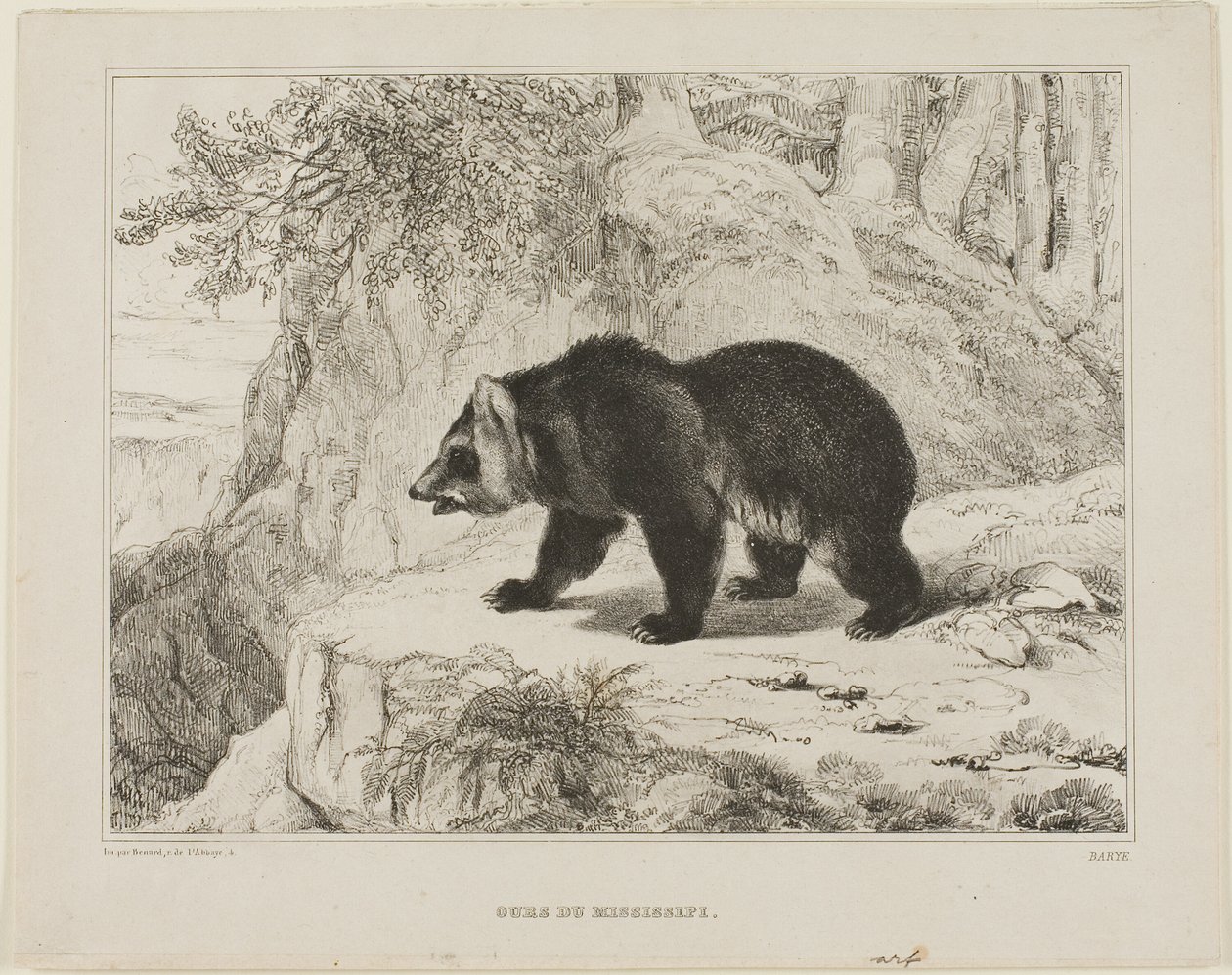 Mississippi Ayı by Antoine Louis Barye