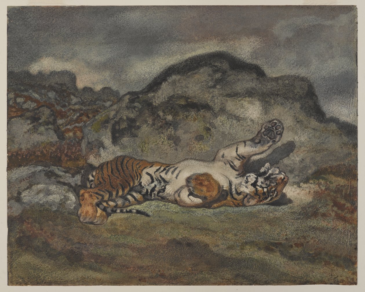 Rolling Tiger, c.1840 (kağıt üzerinde wc) by Antoine Louis Barye