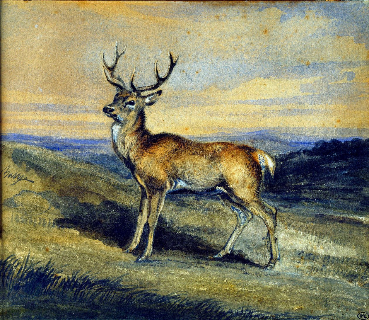 Geyik. Antoine Louis Barye