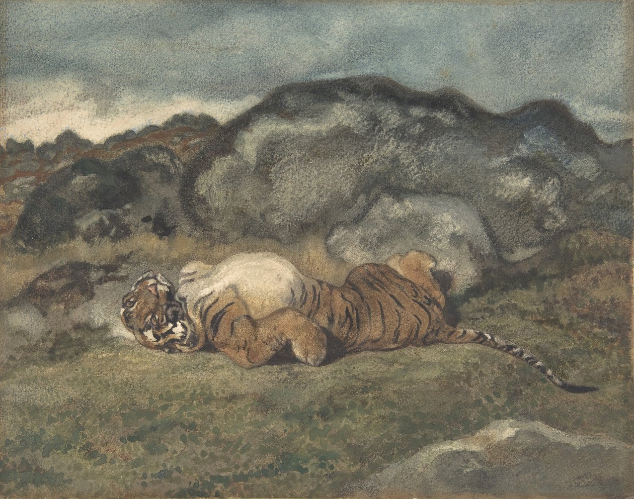 Sırtında Yuvarlanan Kaplan, 1810-75. by Antoine Louis Barye