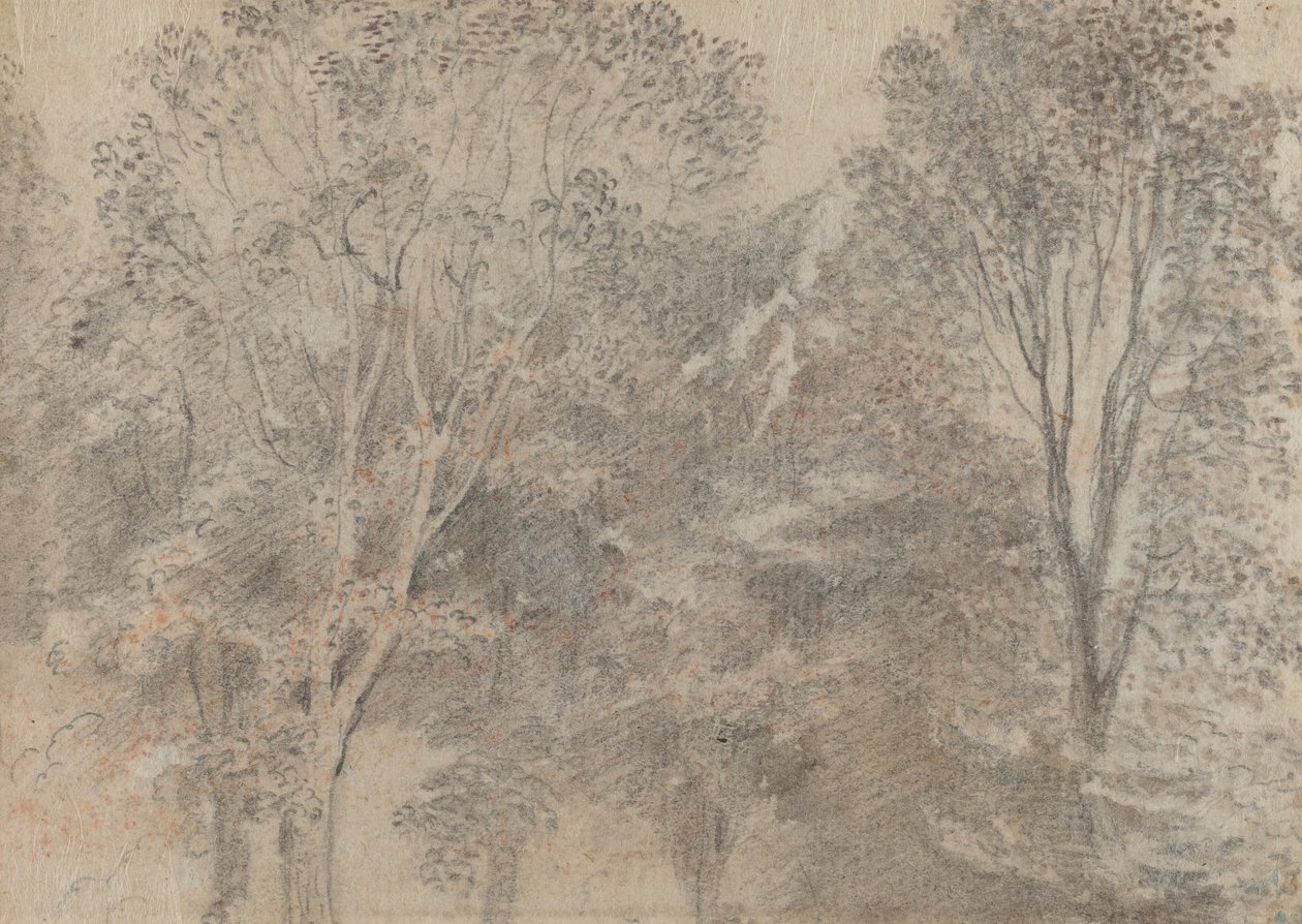 Ağaç tepeleri [verso] by Antoine Watteau
