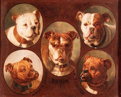 Nell, Dido, Punch, Maggie lauder ve Alexander, İngiliz Bulldogları by Antoine or Tony Dury