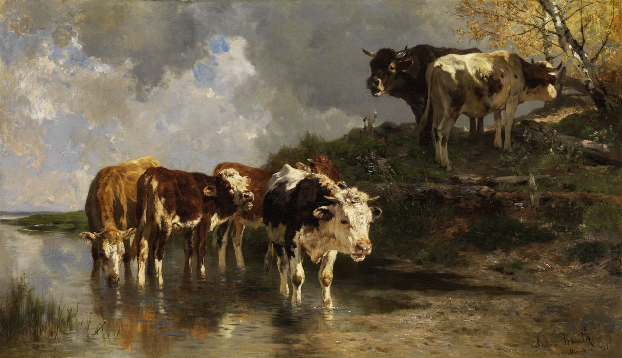 İçme noktasında sığır by Anton Braith