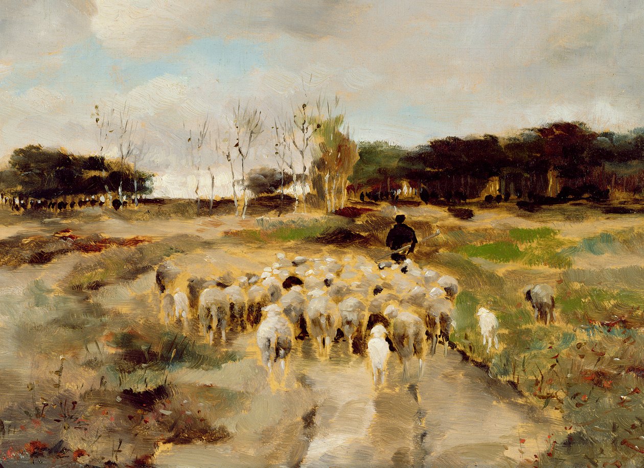 Koyun Sürüsü (kağıt üzeri yağlı) by Anton Mauve
