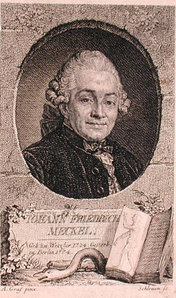Johann Friedrich Meckel