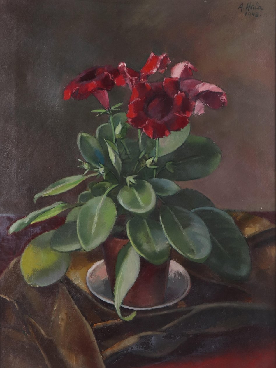  by Anton Hula