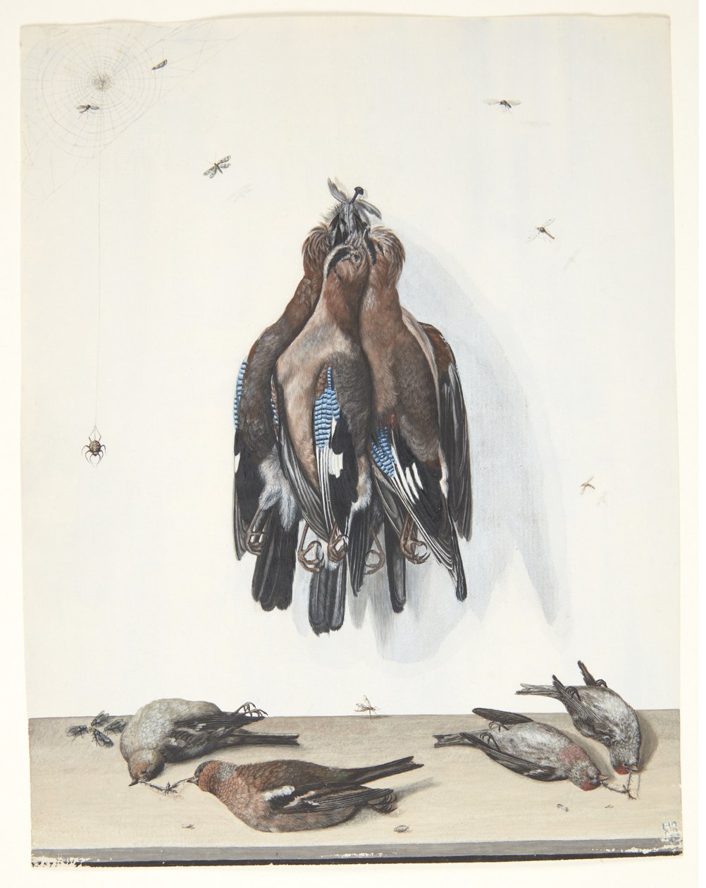 Kuşlar ile natürmort by Anton Ignaz Hamilton