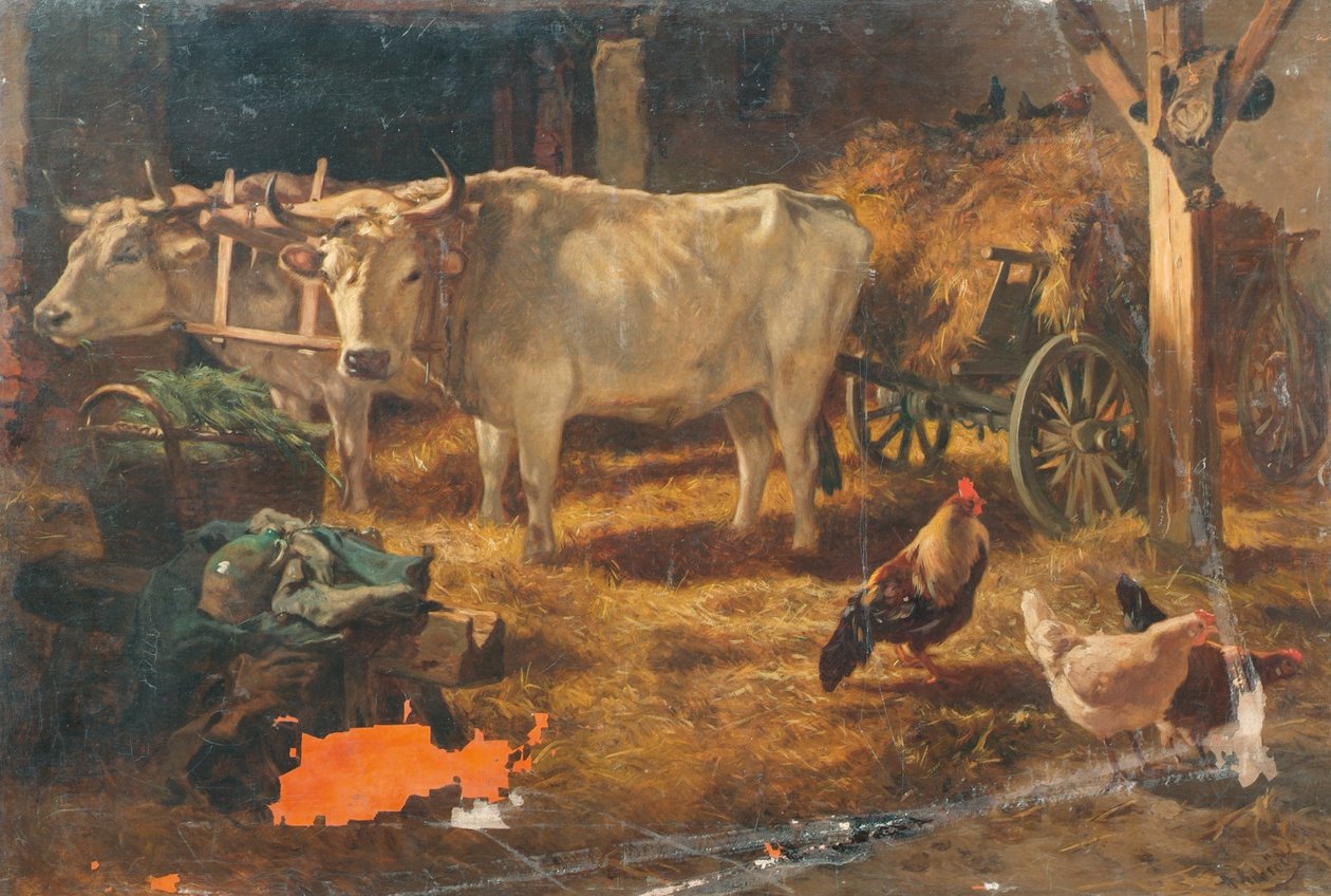 Ahırdaki öküz by Anton Schrodl