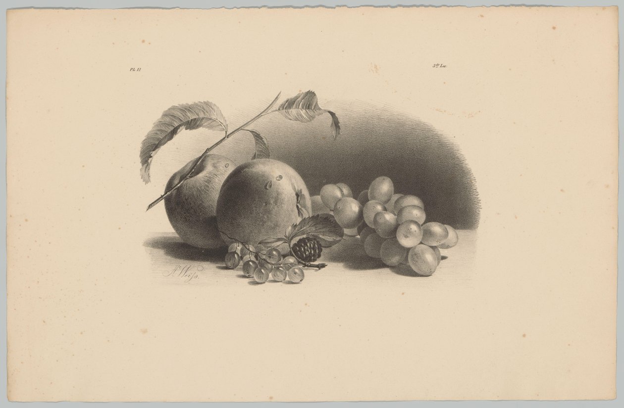 Elma, çilek, böğürtlen ve üzüm Çiçek ve Meyve Çalışmaları (...) 3. bölüm (dizi adı) by Anton Weiss