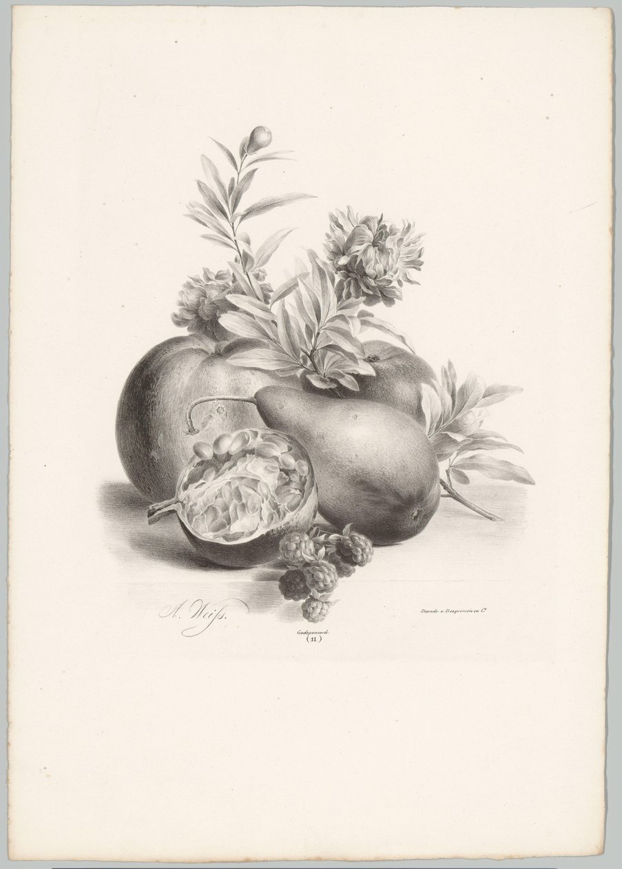 Çiçekler, elmalar, armut, nar ve böğürtlen Çiçek ve Meyve Çalışmaları (...) 10. bölüm (dizi adı) by Anton Weiss