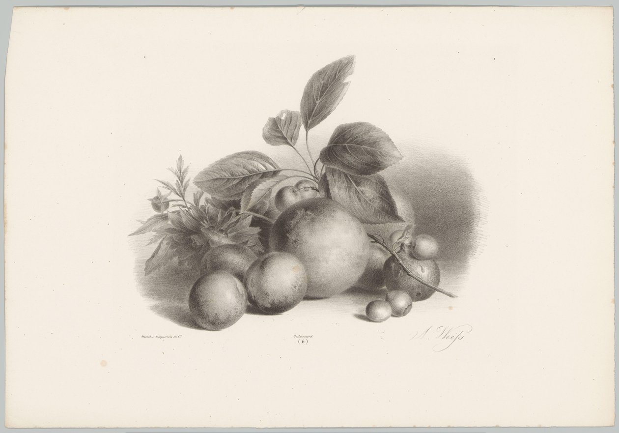 Çiçekler, nektarin ve fındık Çiçek ve Meyve Çalışmaları (...) 10. bölüm (dizi adı) by Anton Weiss