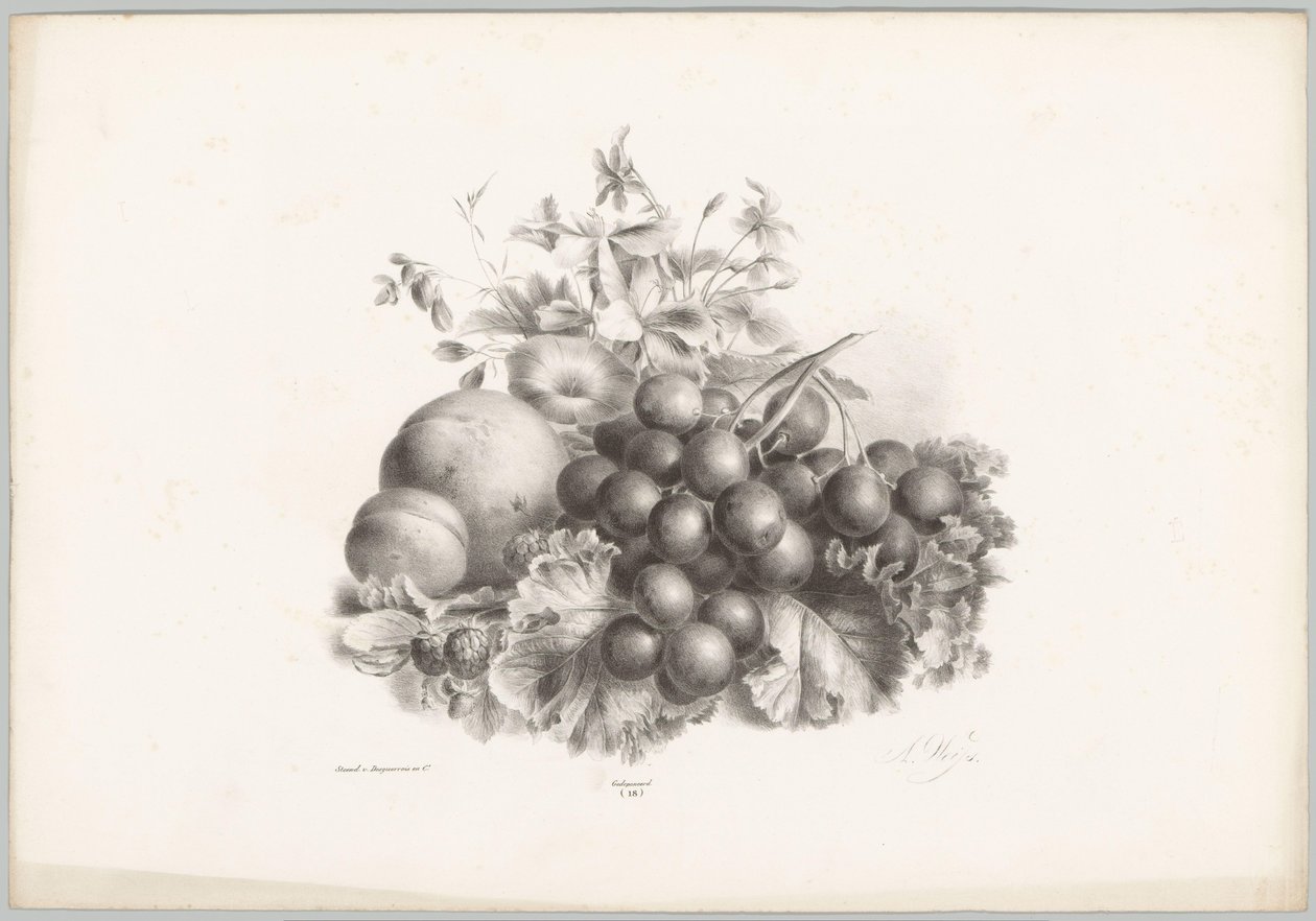 Çiçekler, şeftali, nektarin, üzüm ve böğürtlen Çiçek ve Meyve Çalışmaları (...) 10. bölüm (dizi adı) by Anton Weiss