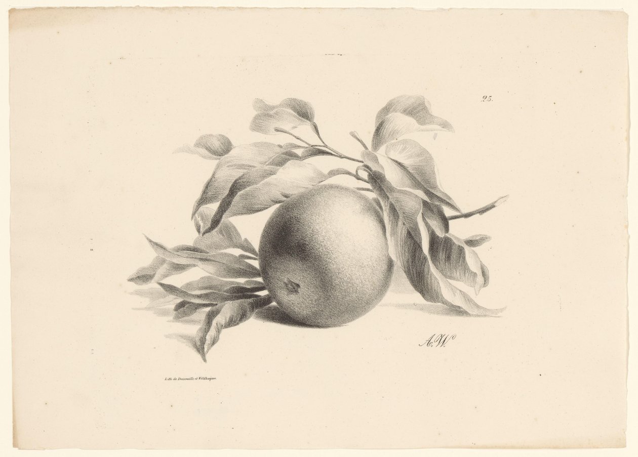 Orange Fruit (dizi adı) by Anton Weiss