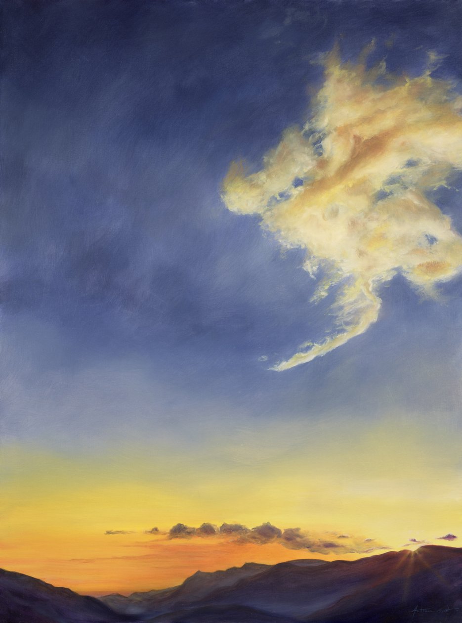 Babalar Sevinci (Cloudscape), 2001 by Antonia Myatt
