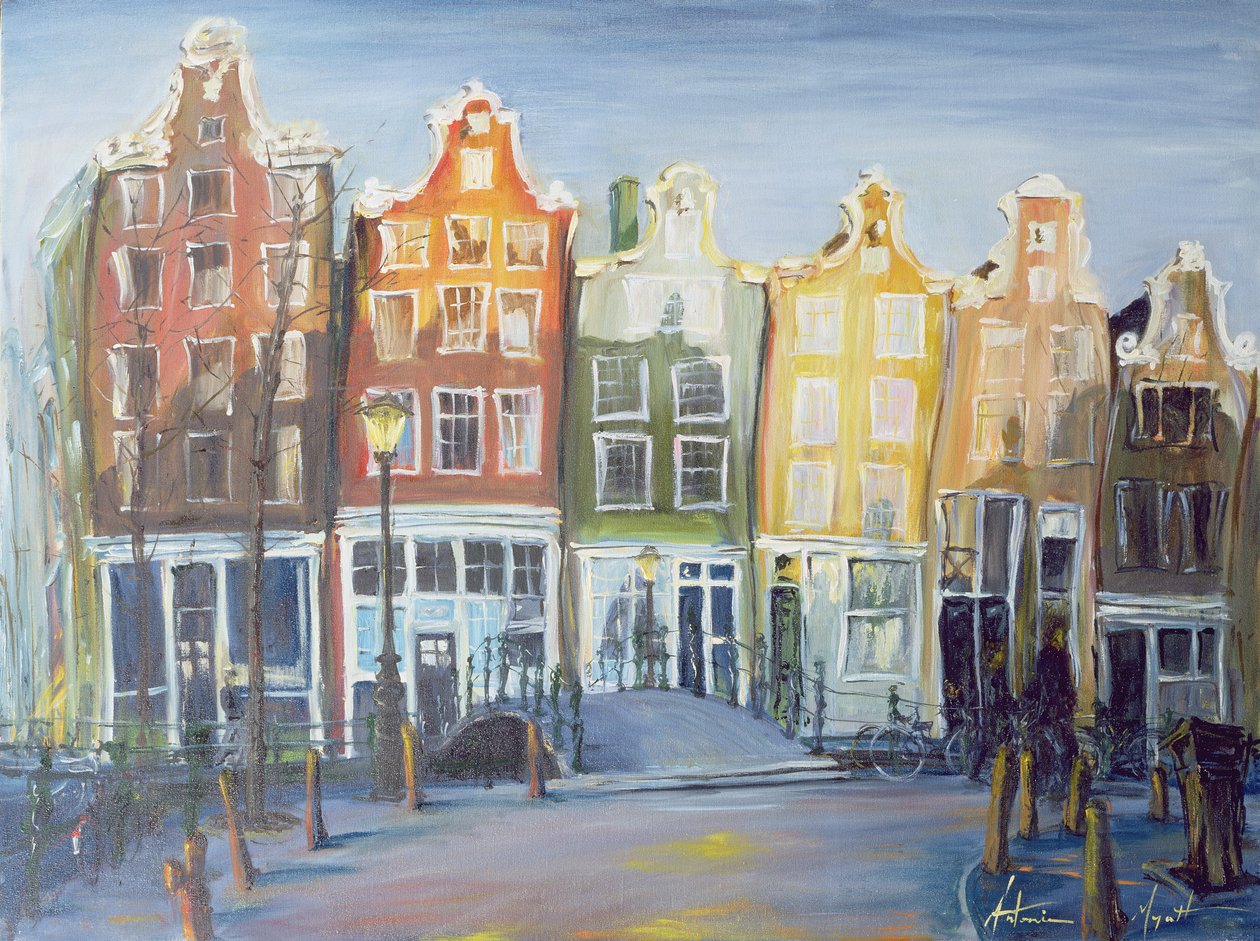Amsterdam Evleri, 1999 by Antonia Myatt