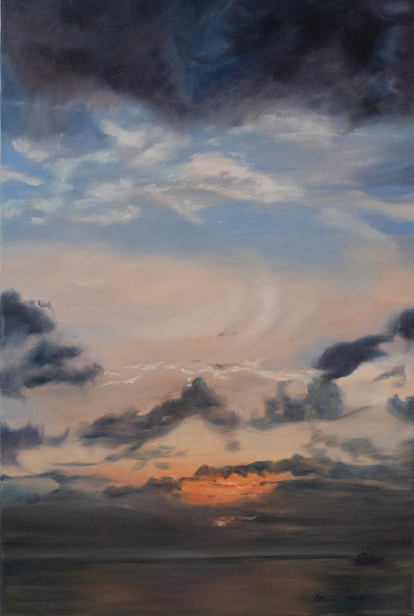 Somon bulutları, 2011 (tuval üzerine yağlıboya) by Antonia Myatt