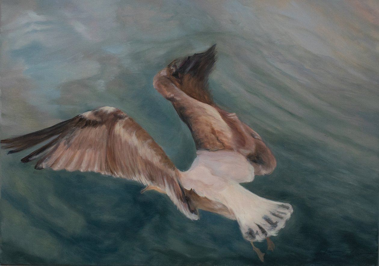 Karaya çıkan martı, 2012 (tuval üzerine yağlıboya) by Antonia Myatt