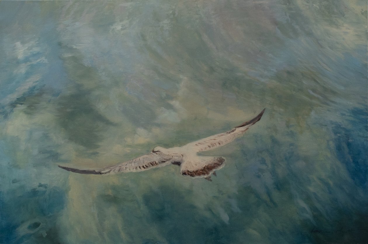 Martı kanatlarını açmış, 2012 (tuval üzerine yağlıboya) by Antonia Myatt