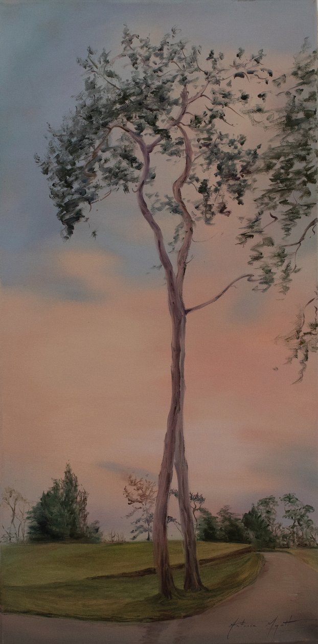 Tapeley Park ağaçları, 2013 (tuval üzerine yağlı boya) by Antonia Myatt
